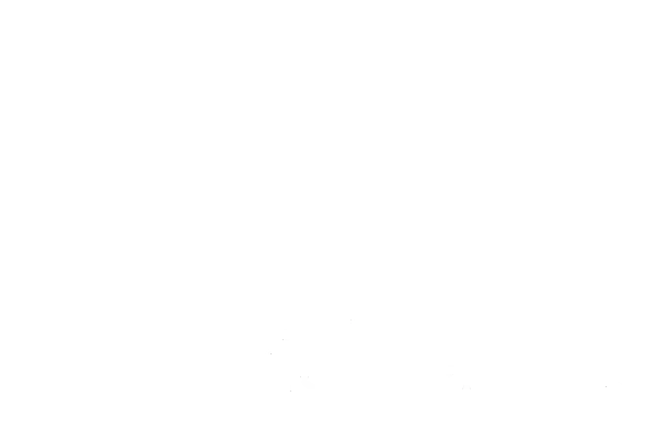 Logo publisistemas white